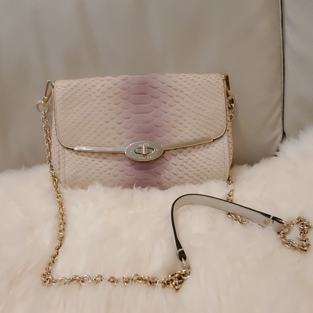 Coach clutch crossbody bag